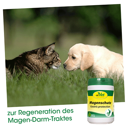 cdVet Ergänzungsfutter & Aufzucht cdVet Magenschutz 100 g