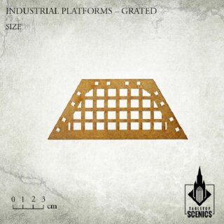 Industrial Platforms Grated