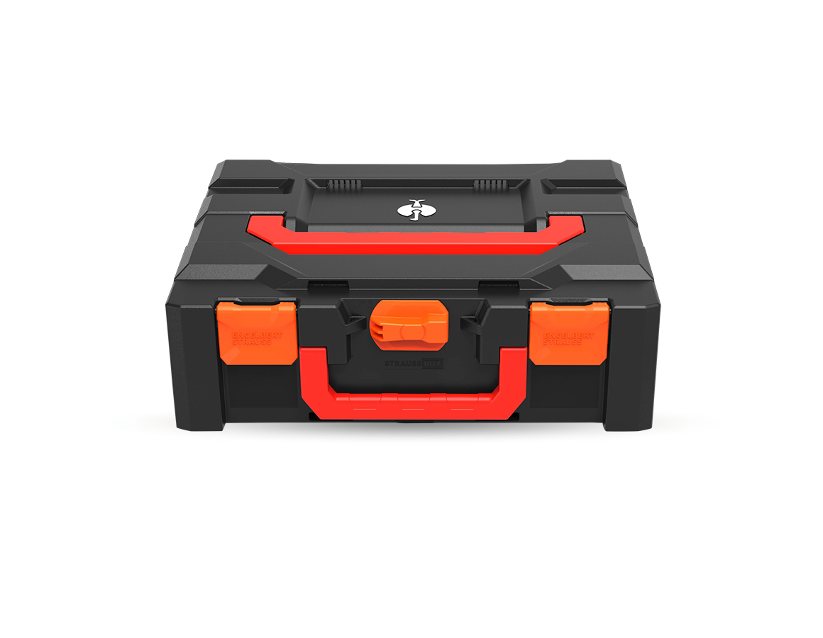 STRAUSSbox 145 midi+ Color