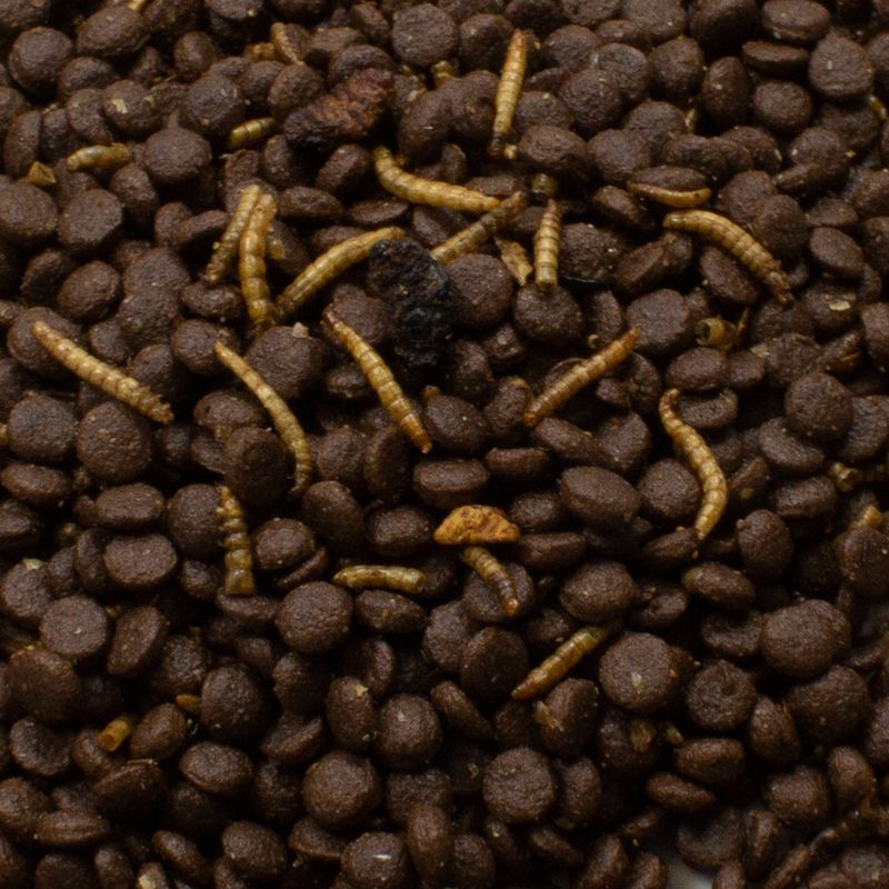 JR Garden Grainless Igelfutter zu TOP-Preisen