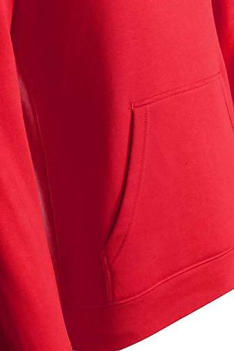 PEAK Sport Hoodie classic