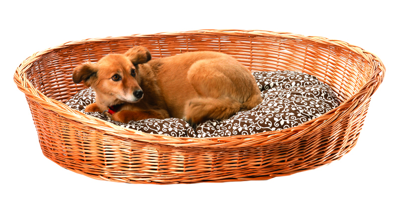 Aumüller Hundekörbe Aumüller Hundekorb hellbraun 70 cm