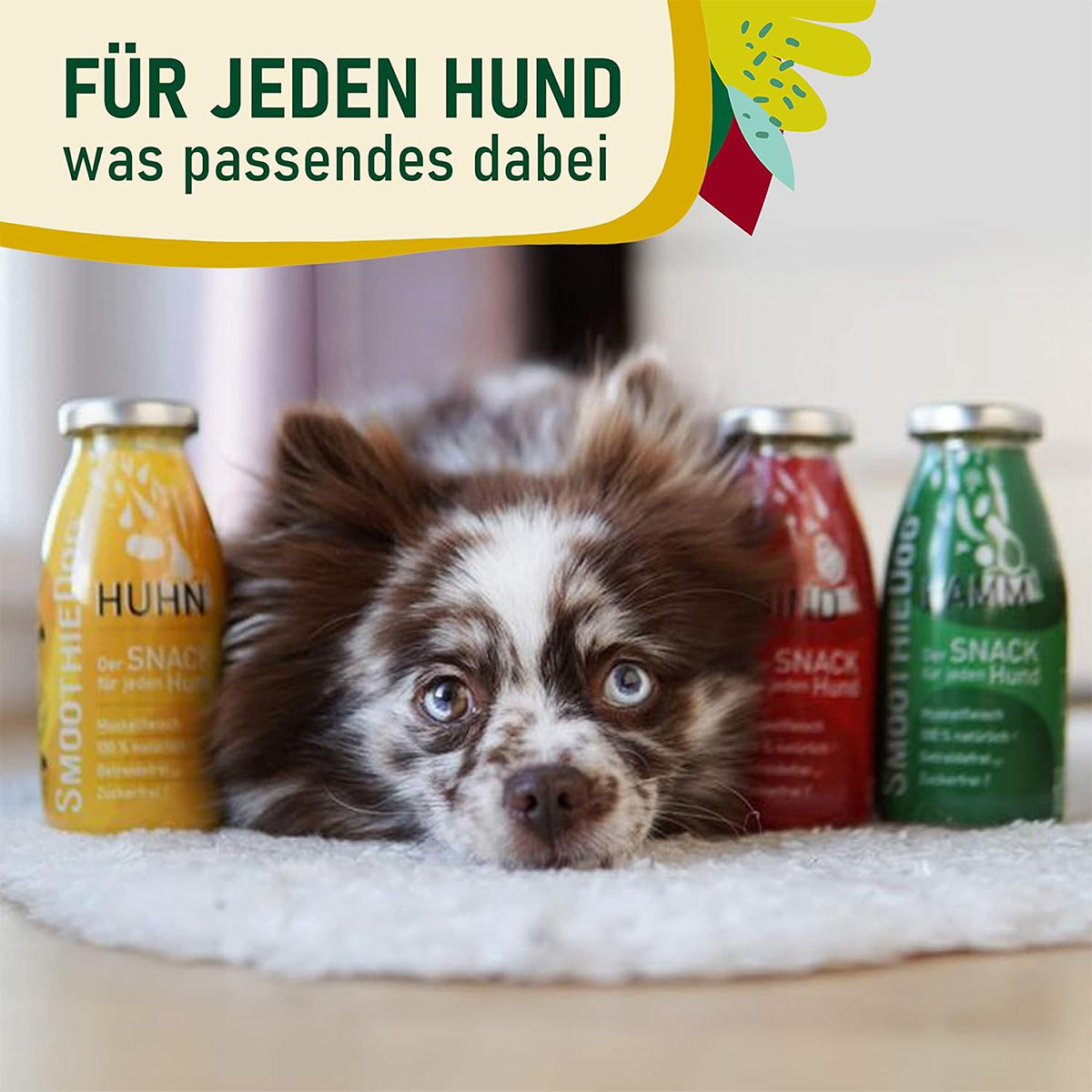 SmoothieDog Klassik 6x250ml günstig kaufen bei ZooRoyal