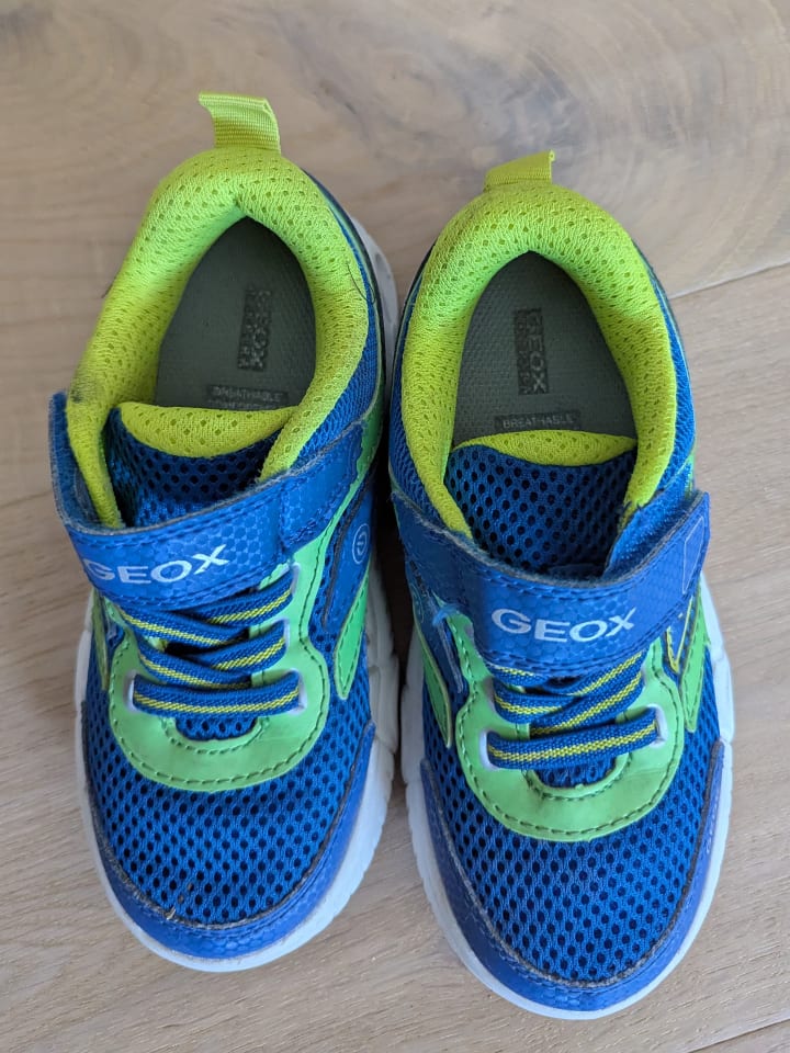 Geox Sneakers 