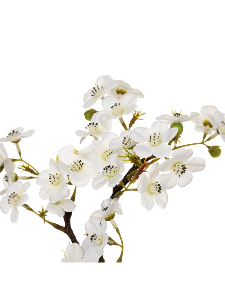 Atmosphera Créateur d'intérieur Künstliche Orchidee in weiß günstig kaufen onesize
