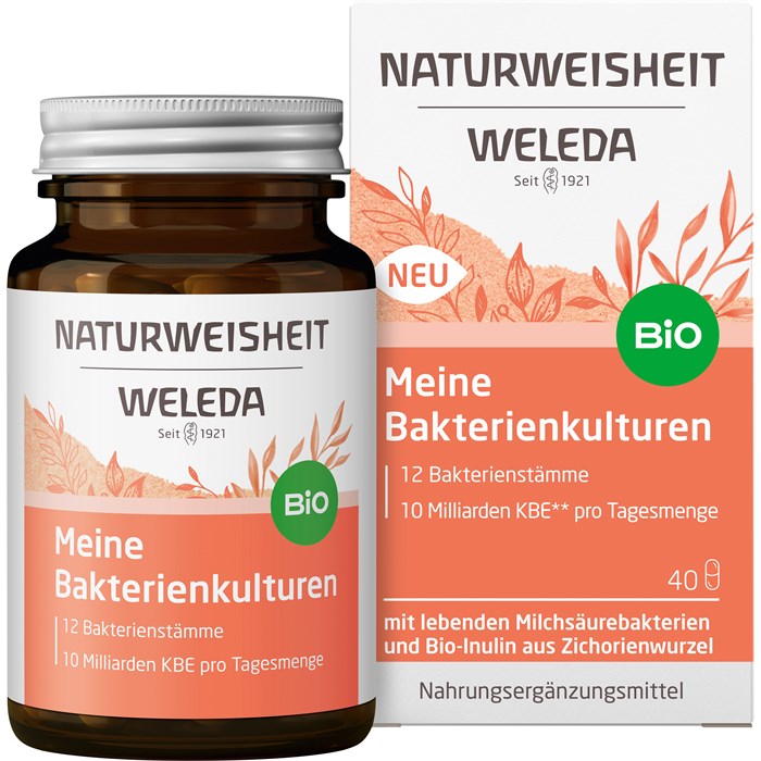 Naturweisheit Meine Bakterienkulturen