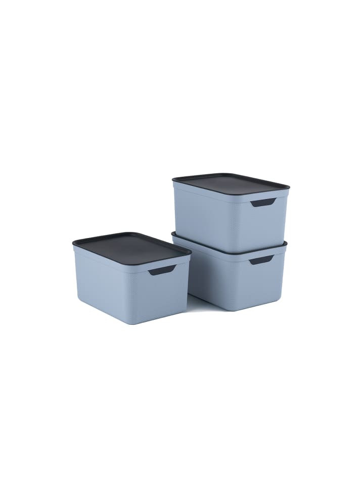 Rotho 3er- Set Aufbewahrungskorb 16l mit Deckel in Blue Fog ged. günstig kaufen onesize