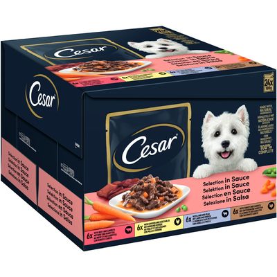 Cesar Feines im Frischebeutel Favoriten in Sauce 24 x 100 g