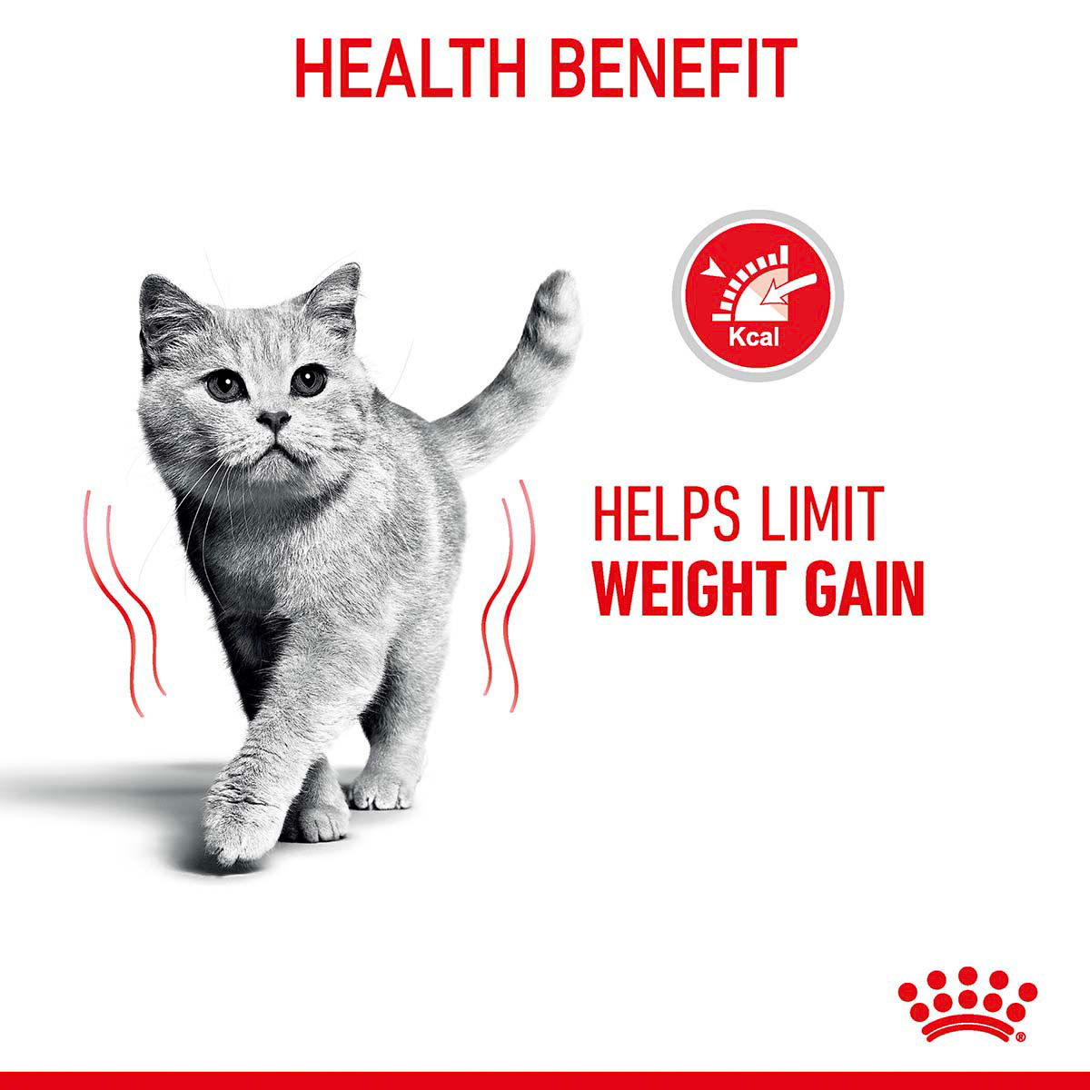 Royal Canin FCN Light Weight Care Gravy kaufen