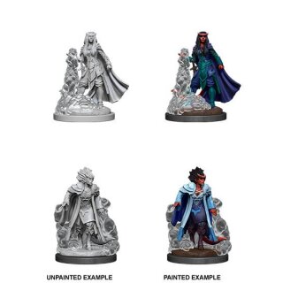 D&D Nolzur's Marvelous Miniatures - Female Tiefling Sorcerer