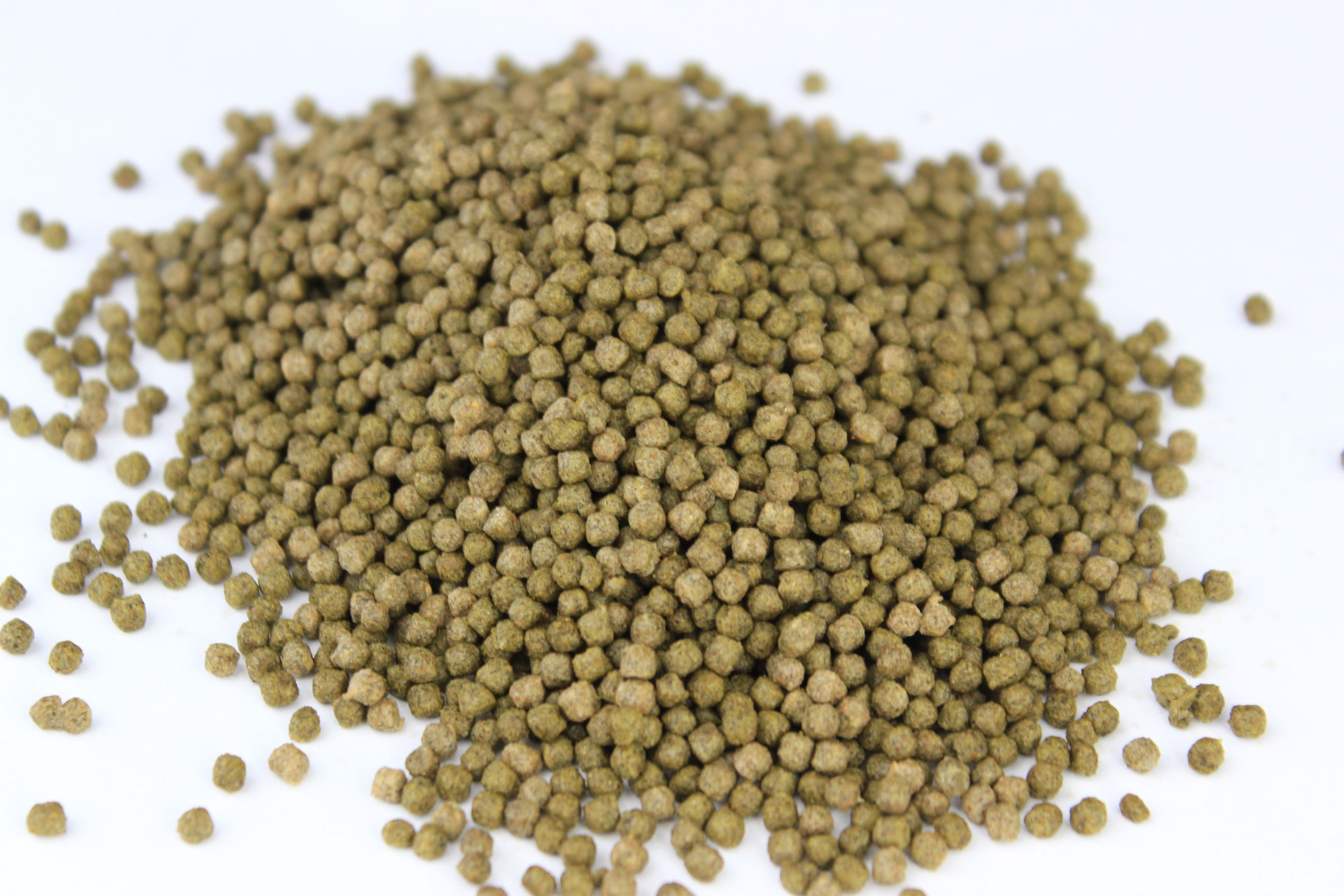 Silbermann Hauptfutter Silbermann Spirulina Pond Pellets 3 mm 10 kg