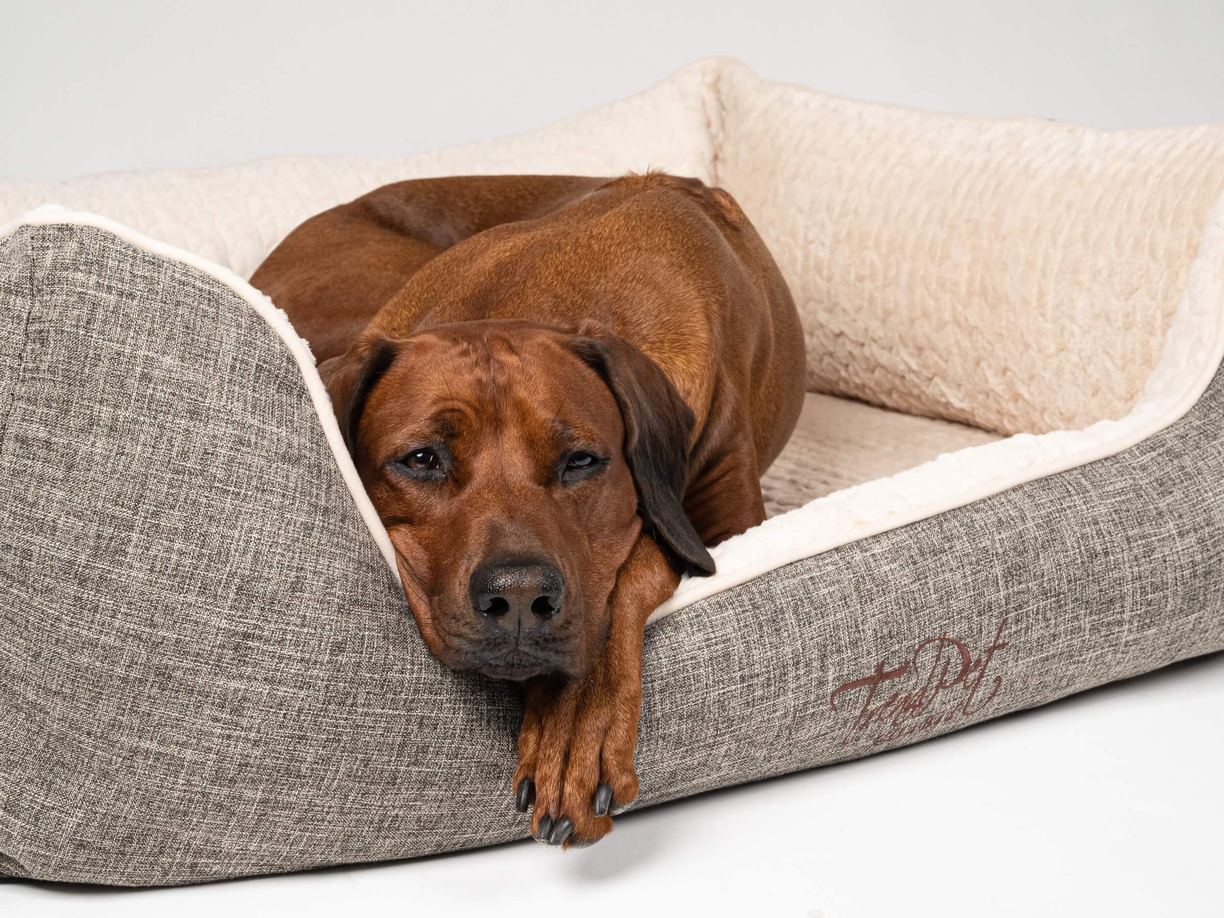 TrendPet Hundebetten TrendPet VitaBed Classic orthopädisches Hundebett beige M