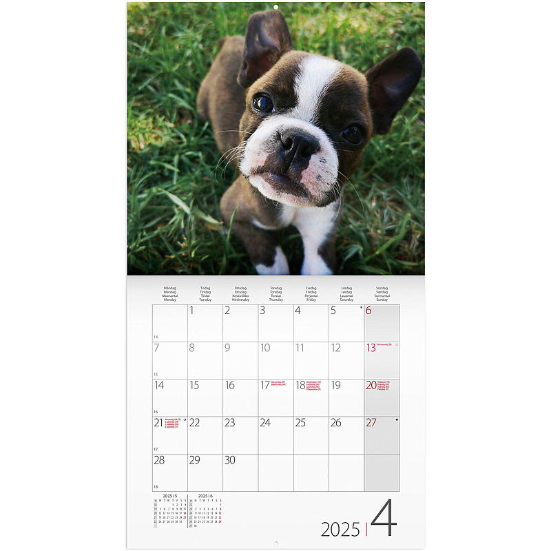Veggkalender dogs 2025