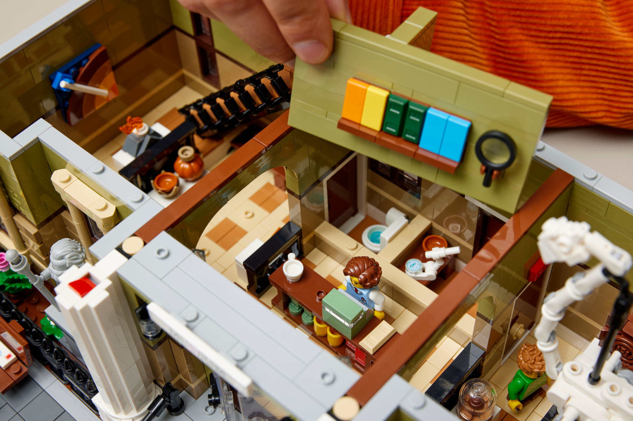Le Muséum d’Histoire naturelle 10326