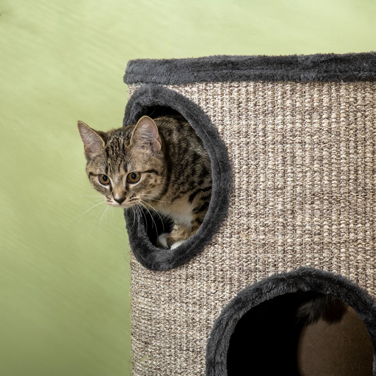 PawHut Kratztonne, Katzenkratzbaum mit 3 Höhlen, Spieltonne für Katzen, Grau