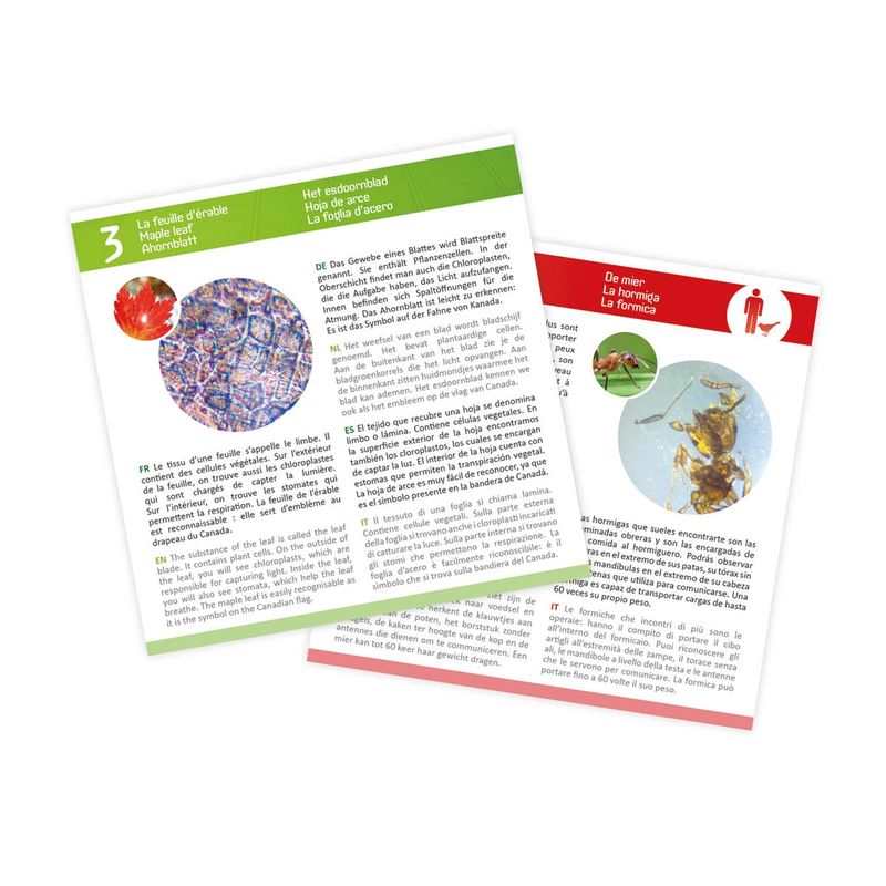 Kit de lamelles pour microscope
