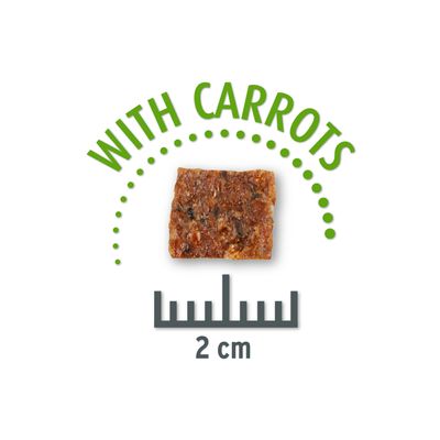 Concept for Life Insect Snack mit Karotte