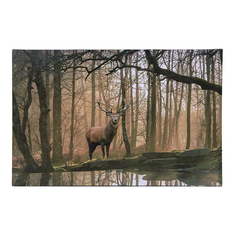 Home Canvasbilde 38x58 cm LED/fiberoptik Autumn