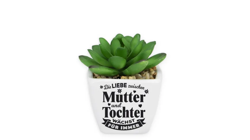 H&H Sukkulenten - Mutter & Tochter