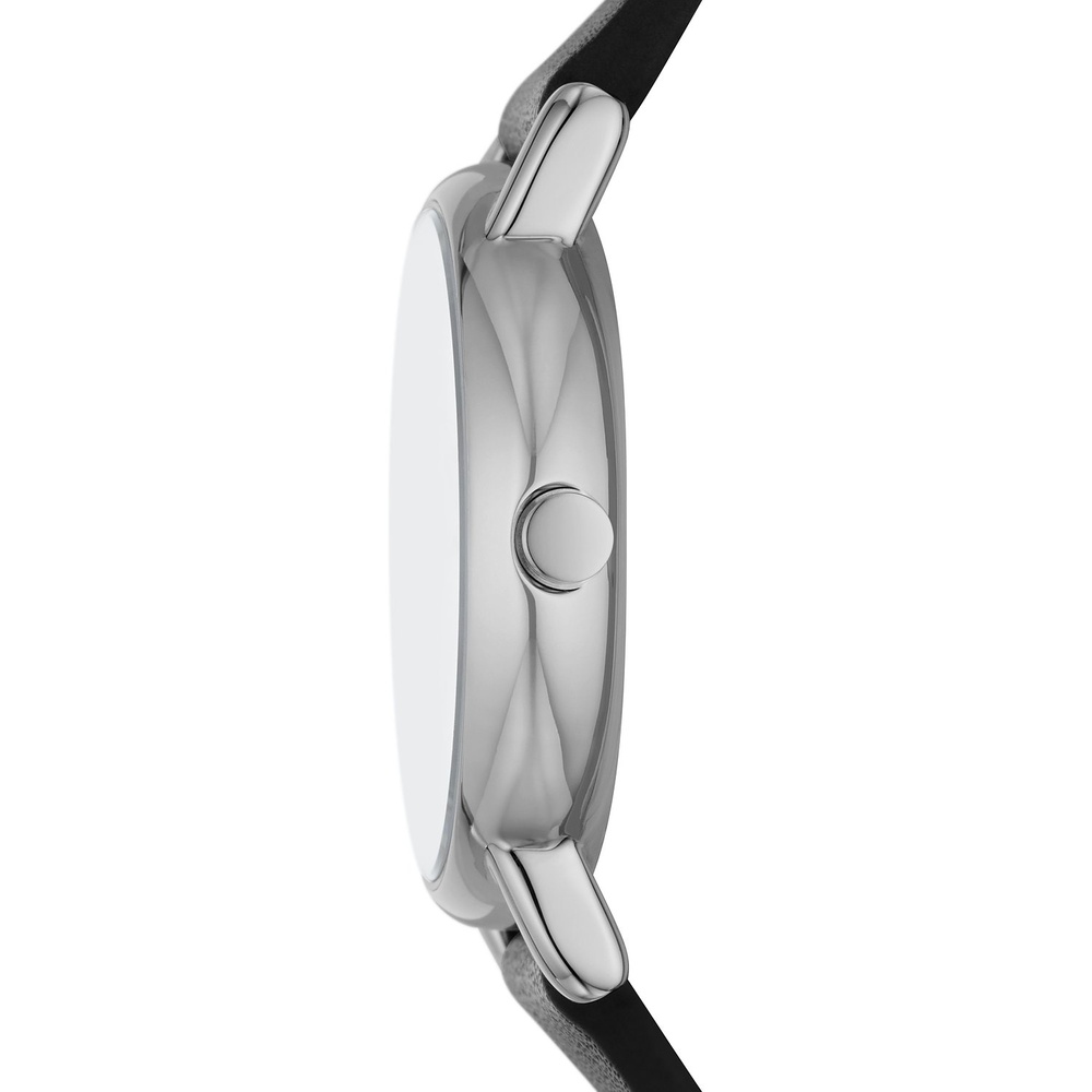Skagen Montre pour femme Acier inoxydable Montre