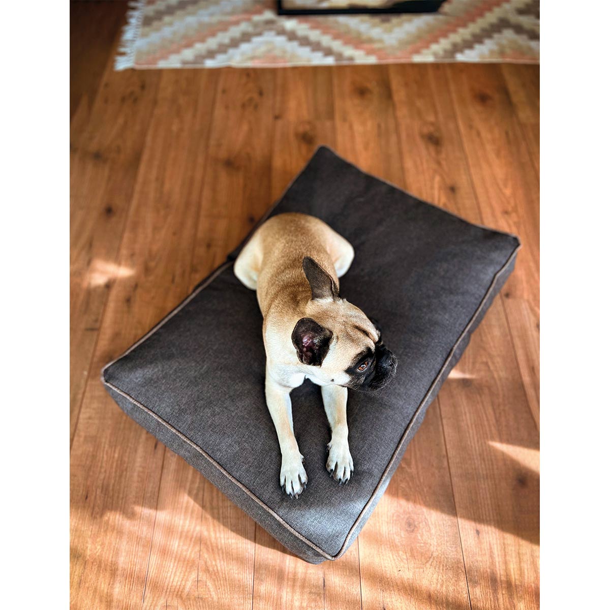 Aumüller Hundebett Basic Line Braun günstig kaufen bei ZooRoyal