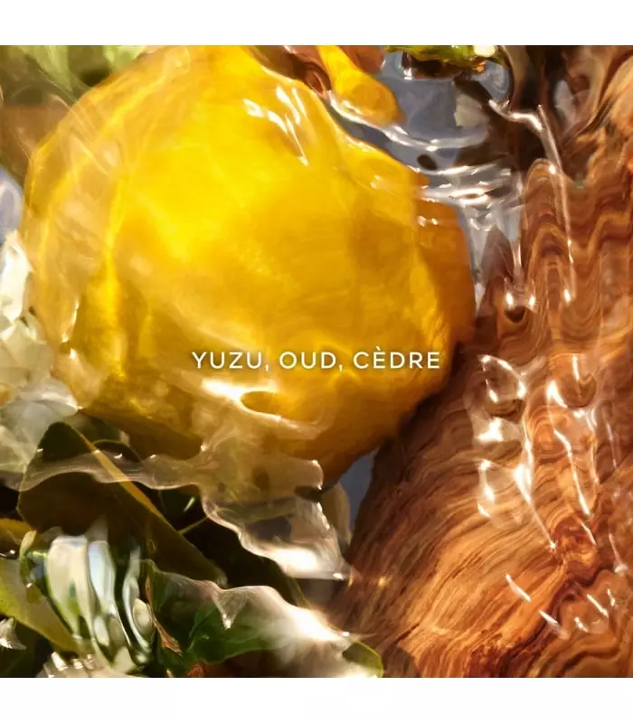 AQUA ALLEGORIA FORTE  Oud Yuzu - Eau de Parfum