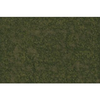 D&D Icons of the Realms: Grasslands Battle Mat