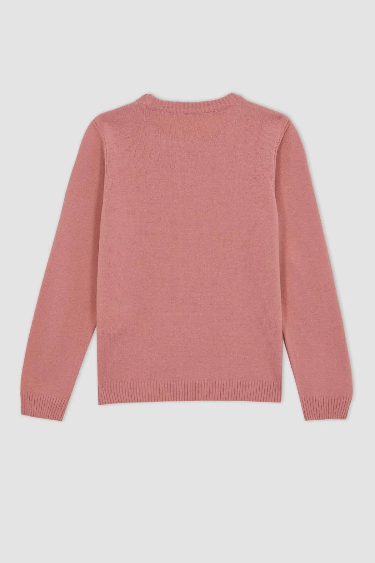 DeFacto  Schulpullover mit Rundhalsausschnitt für Mädchen
