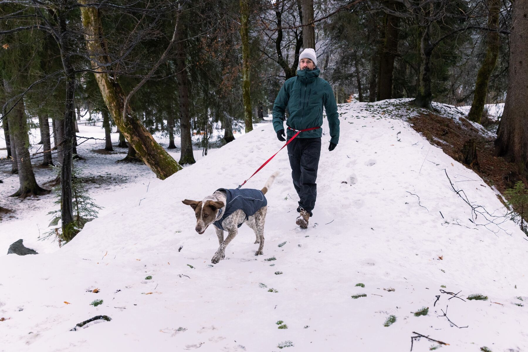 Ruffwear Hundeleinen Ruffwear Switchbak™ Leine rot