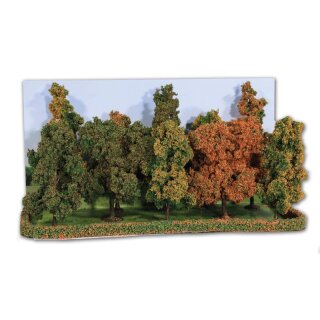 Herbstwald Bäume 10-14 cm (10 Stk.)