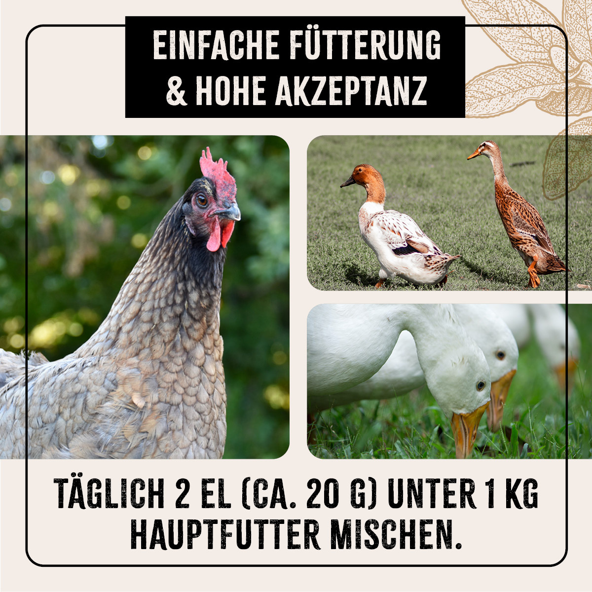 Aniforte Futter & Heu Aniforte Hühner Wohlfühlkräuter 0,5kg