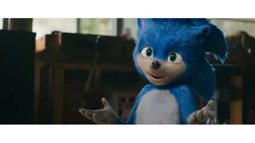 Sonic the Hedgehog