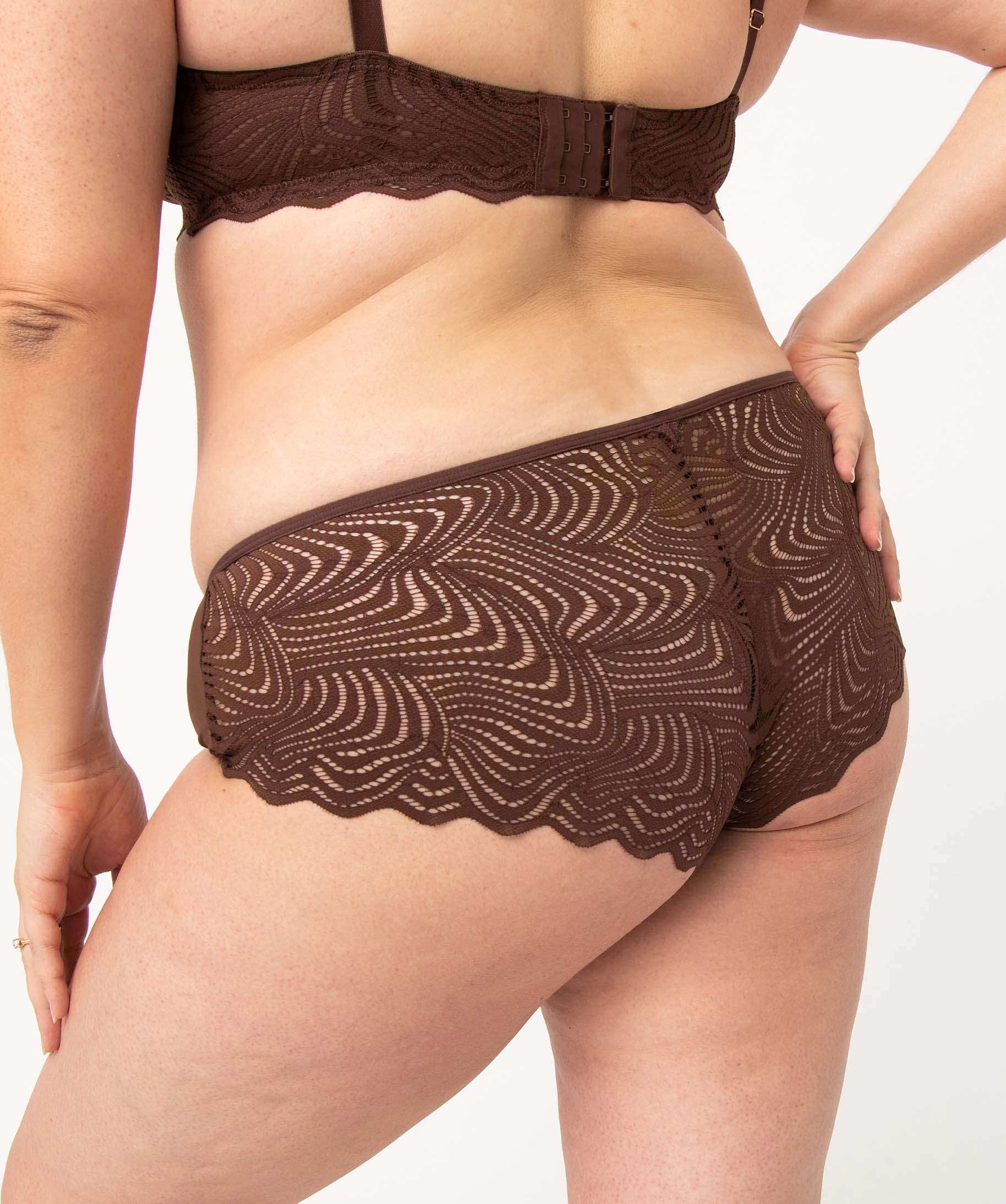 Shorty femme grande taille en dentelle, tulle et microfibre marron | GEMO