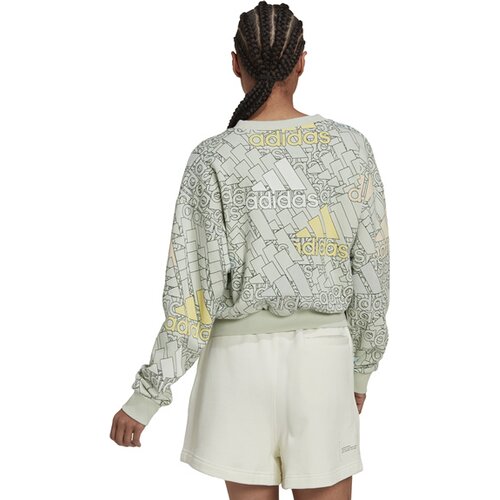 DAMEN SWEATSHIRT W BLUV Q3 SWT G