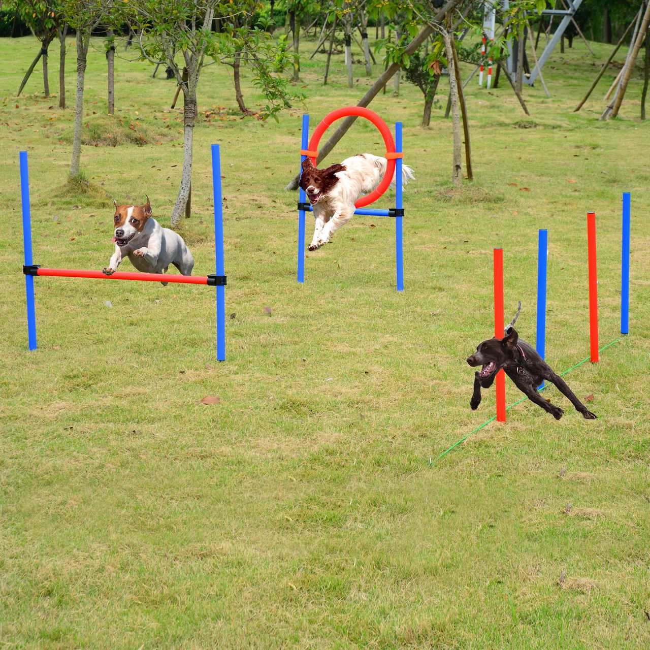 PawHut Agility-Übungs-Set Slalom-Hürden-Sprungring 3 in 1 Hundesport Trainingsplatz PE Blau Rot