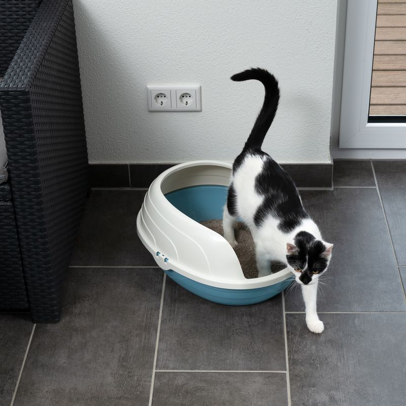 TIAKI Schalentoilette Cobby zu TOP-Preisen