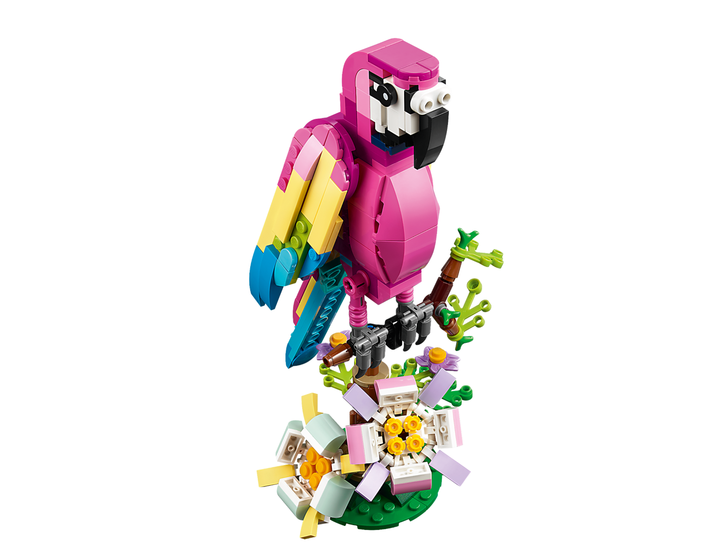 Exotischer pinkfarbener Papagei 31144