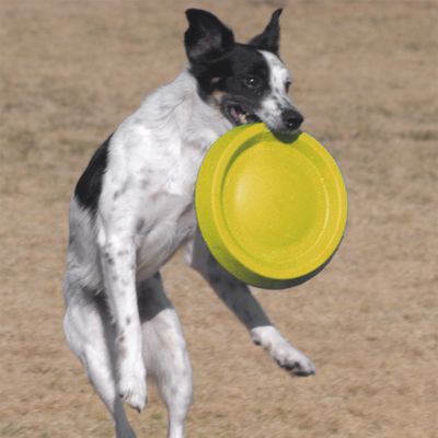 Starmark Easy Glider Durafoam Disc