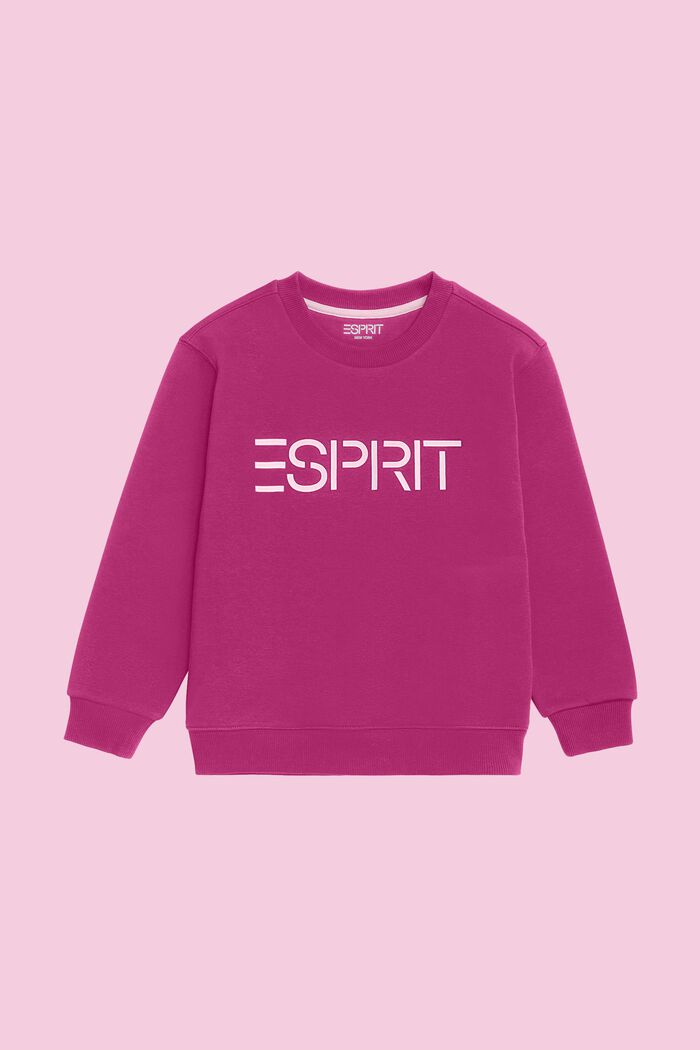 Logo-Sweatshirt mit Rundhalsausschnitt