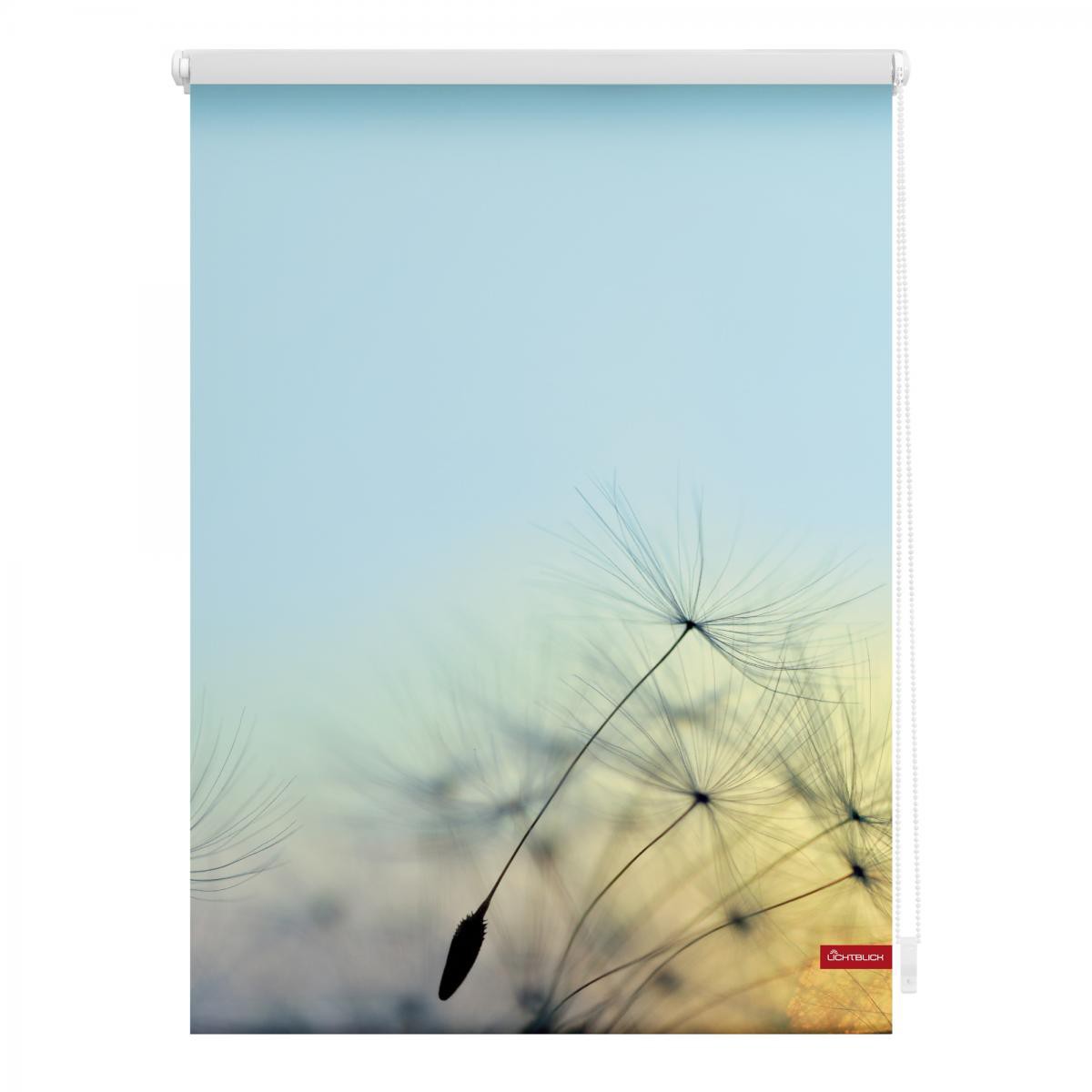 Lichtblick Rollo Klemmfix, ohne Bohren, blickdicht, Pusteblume - Blau, 100 x 150 cm (B x L)