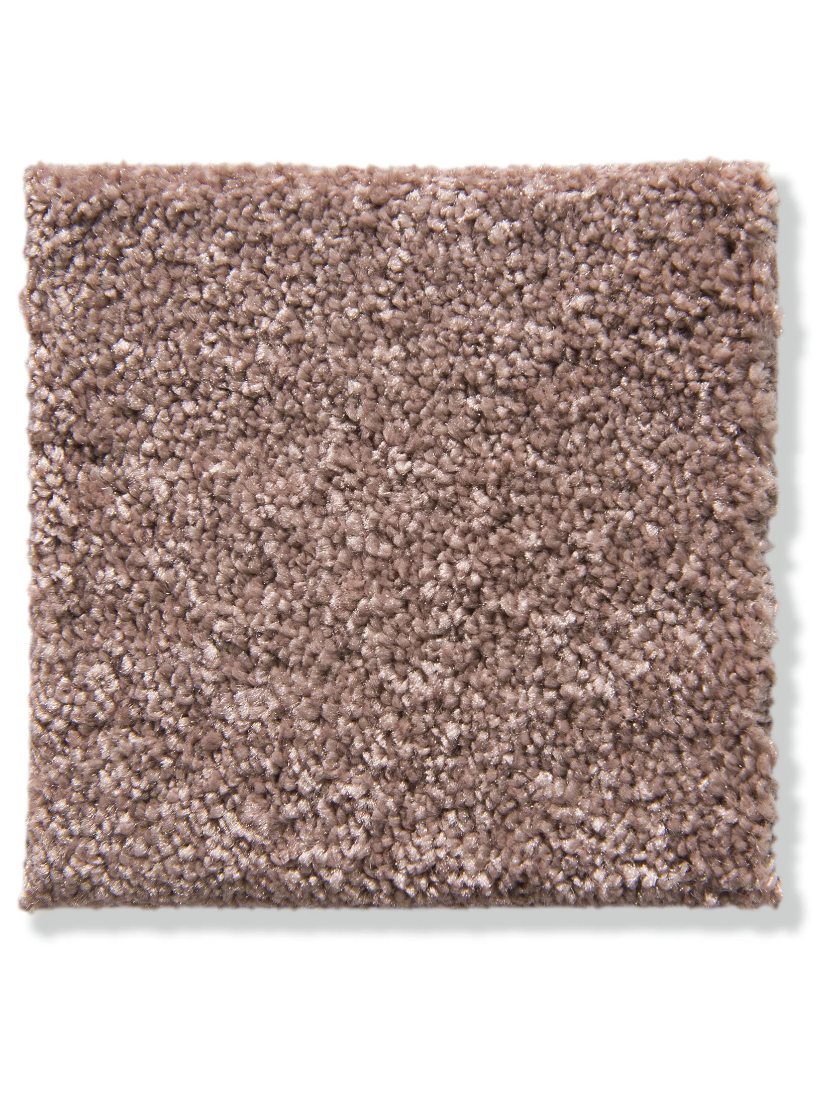 Cirella Velours-Teppichboden, Latte Macchiato 43