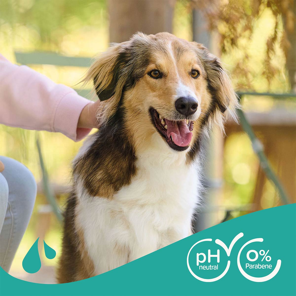 beaphar Hundeshampoo Fell-Glanz 250ml günstig kaufen bei ZooRoyal