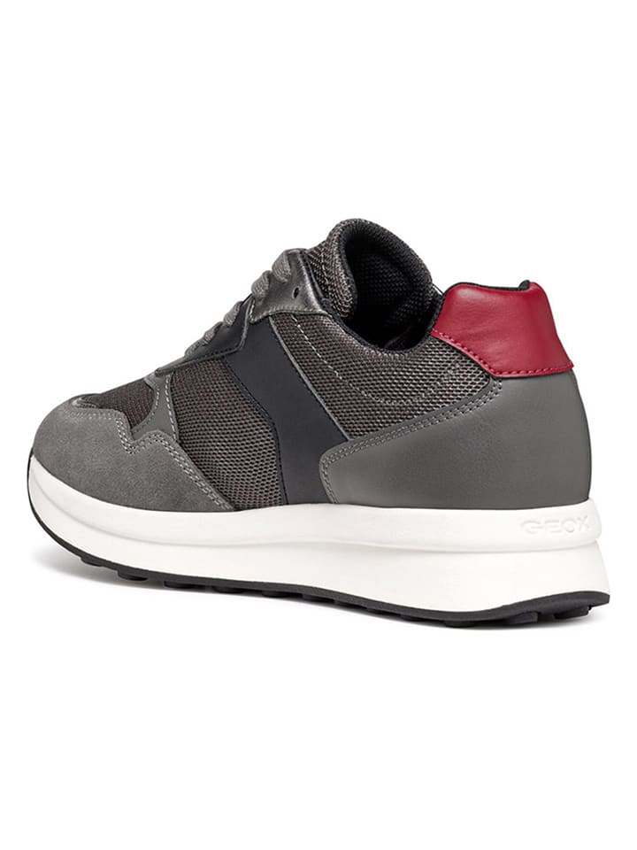 Geox Sneakers 
