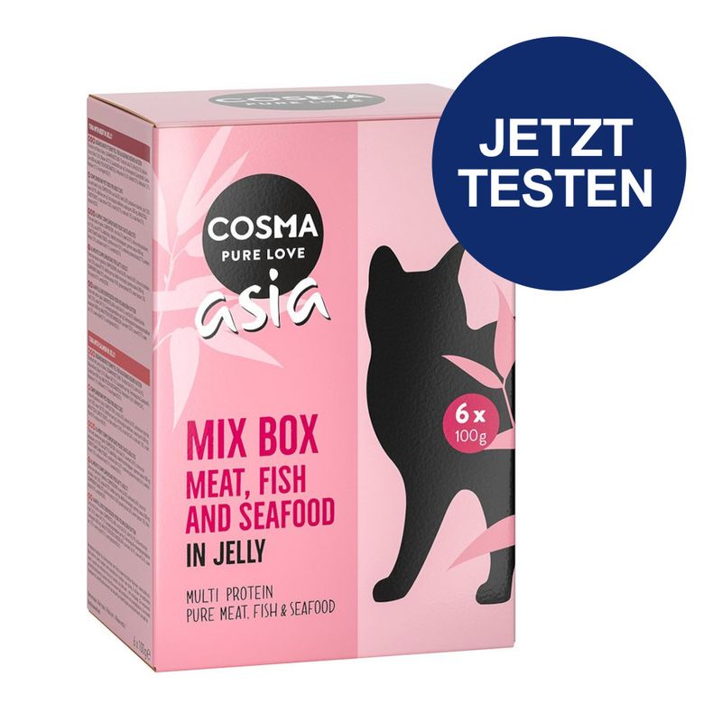 Probierpaket Cosma Asia Frischebeutel 6 x 100 g