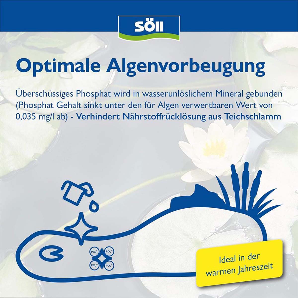 Söll PhosLock Phosphatbinder günstig kaufen