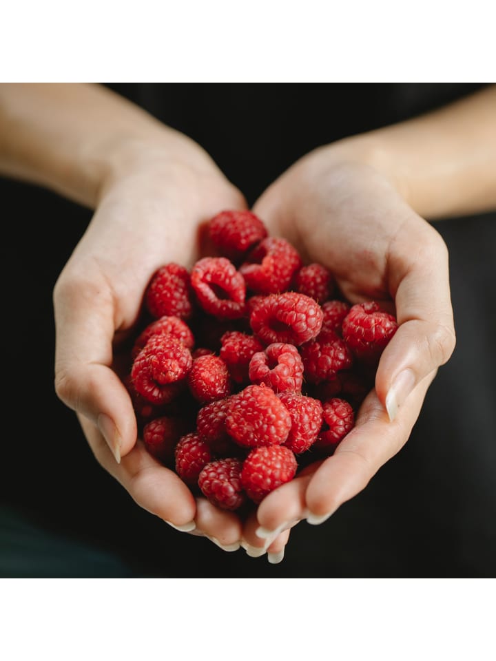 OH2 8er-Set: Obstpflanzen in Bunt günstig kaufen onesize