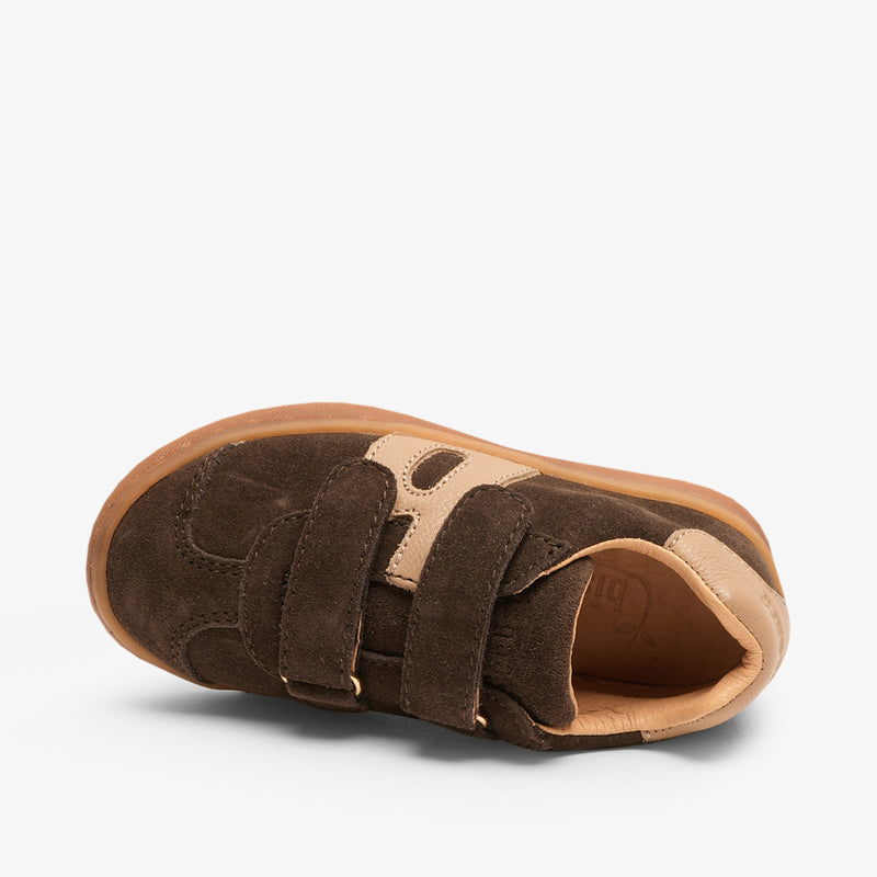 bay v dark brown - Braun