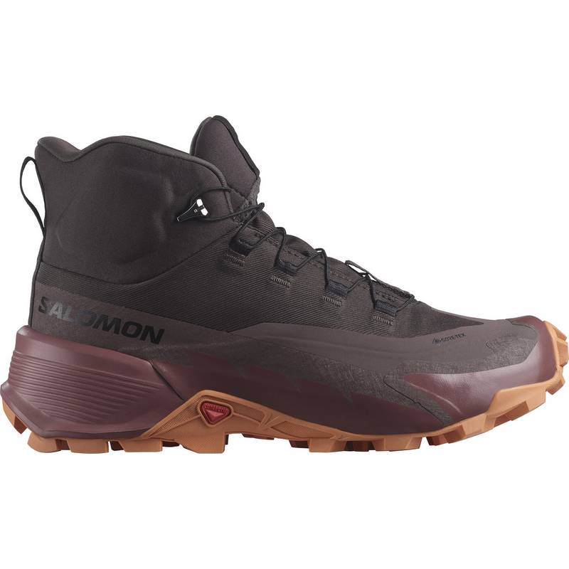 Salomon CROSS HIKE 2 MID Wanderschuhe Damen