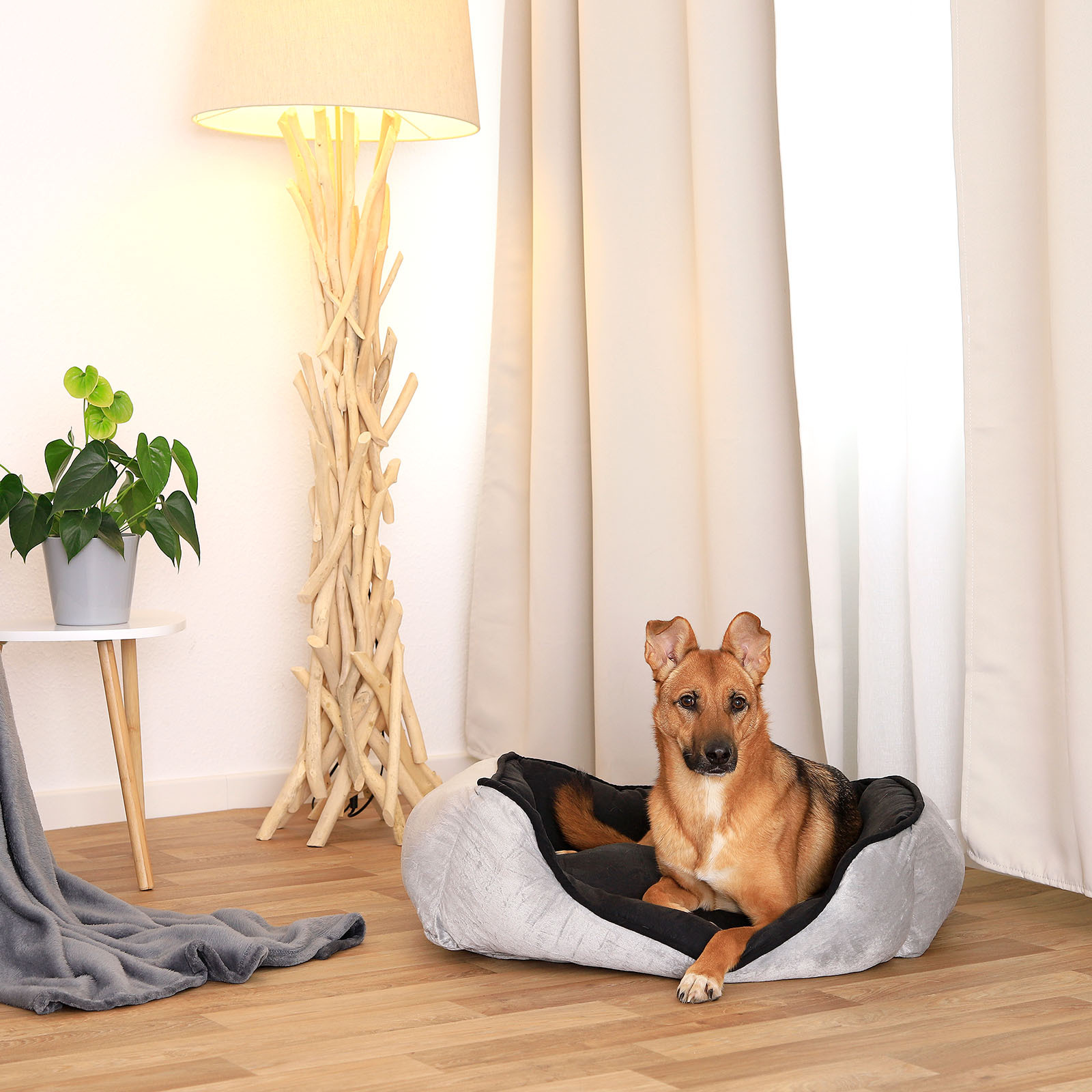 Lionto Hundebetten Lionto 2-in-1 Hundebett Hundekissen M
