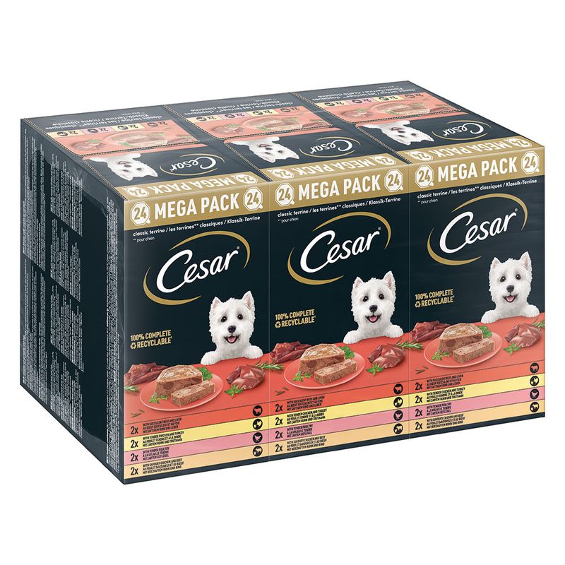 Megapack Cesar Schale 24 x 150 g